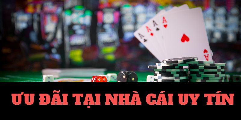 Xem Vòng Loại World Cup Bóng Đá Trực Tiếp